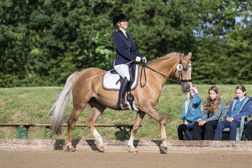 Bild 11 - Pony Akademie Turnier